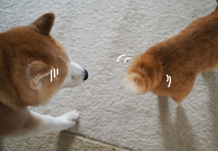 23日ブログ3