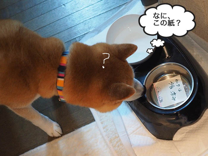 22日ブログ４