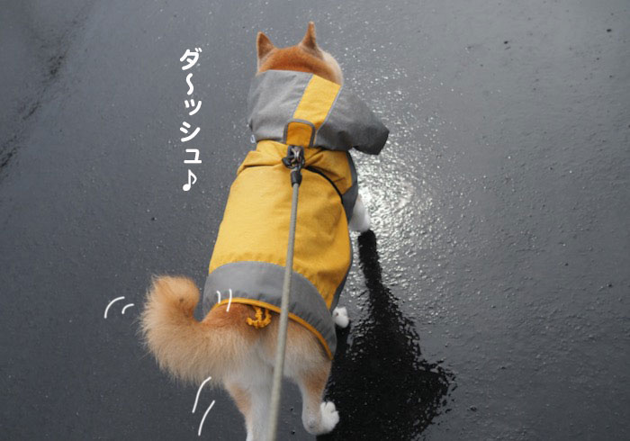 1日用４