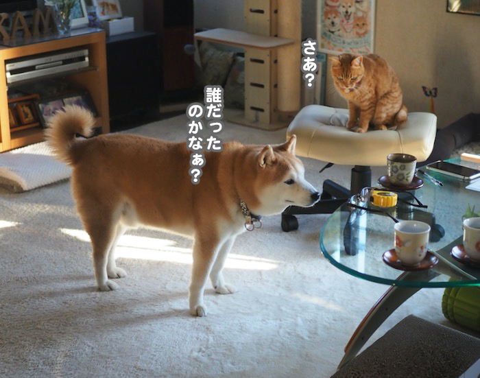26日夕ブログ３