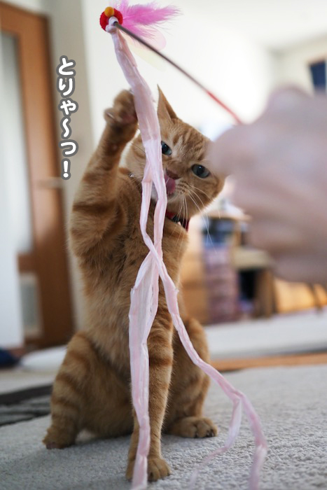1日夕ブログ４