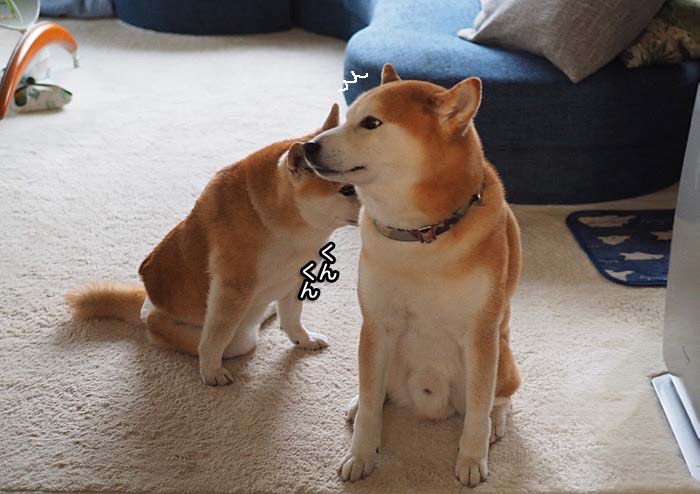 5日ブログ１