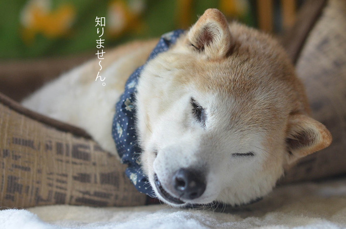 30日ブログ6