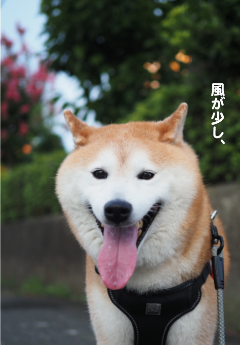 1日午前ブログ２