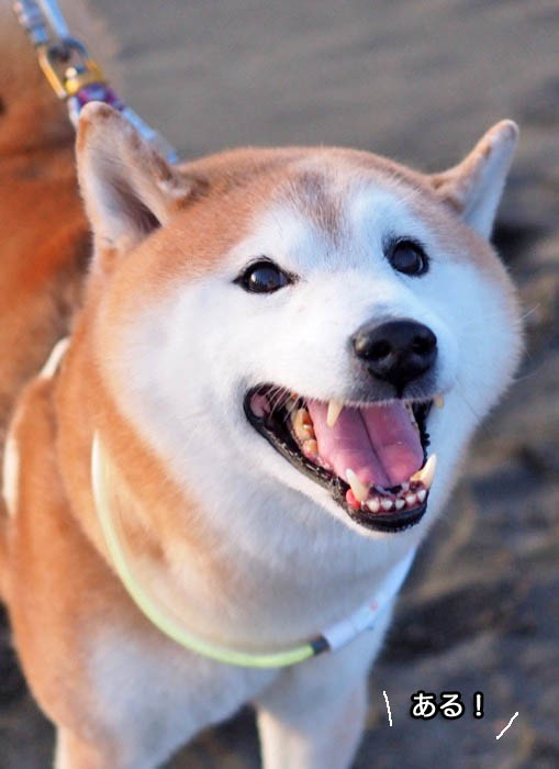 4日ブログ１１