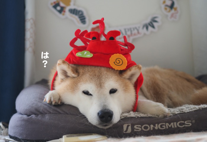 3日夕ブログ２