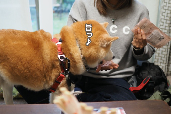 6日夕ブログ１０