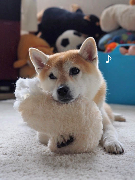 15日ブログ４