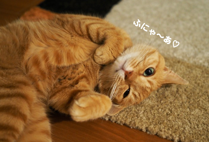 4日夕ブログ５