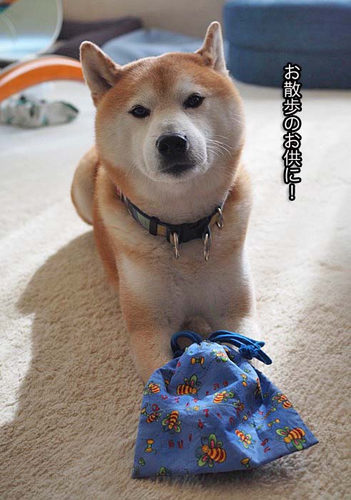 18日ブログ３