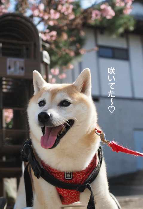 5日夜ブログ２