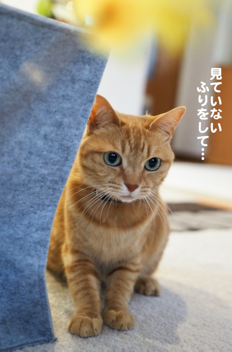 29日夜ブログ3