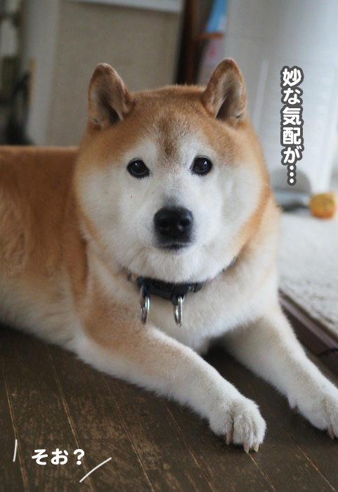 13日ブログ４