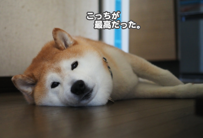 24日ブログ３