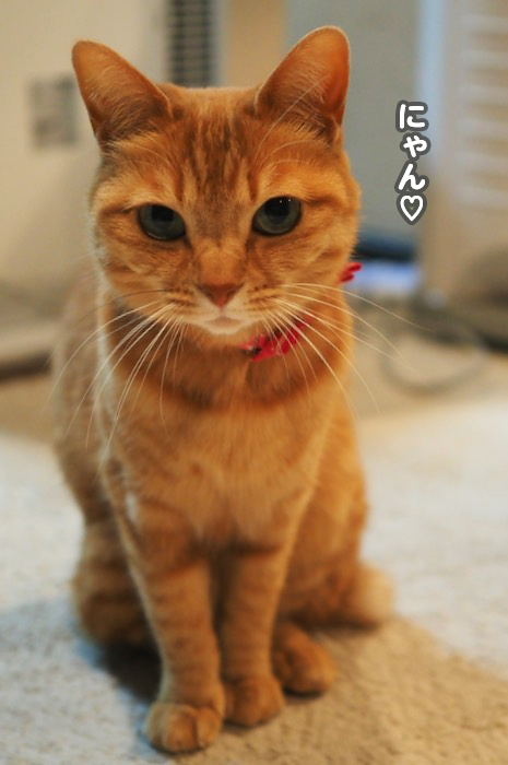 10日夕ブログ４