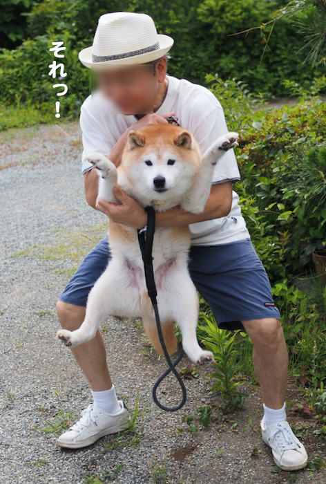 13日夕ブログ６