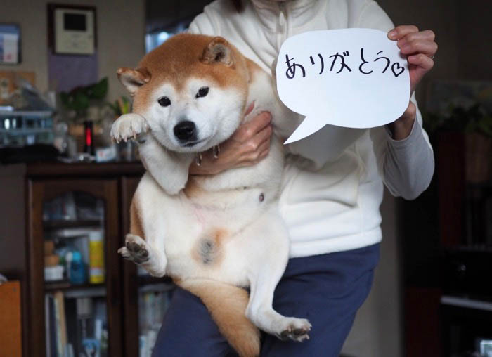 31日夜ブログ４