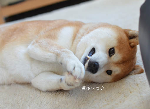 23日ブログ7.jpg