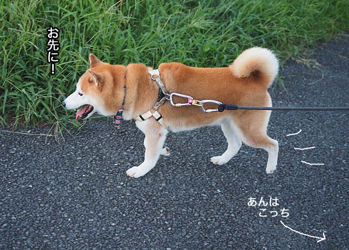 7日ブログ３