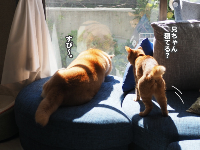 27日ブログ２