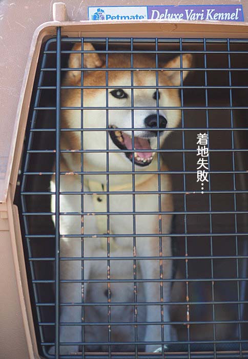 12日ブログ３