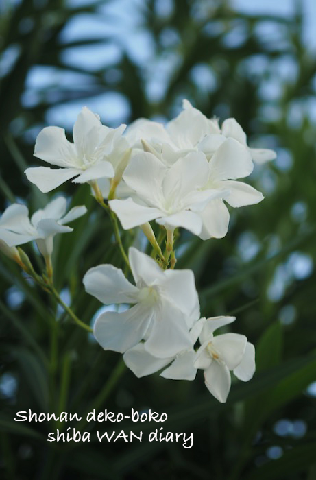 19日ブログ１