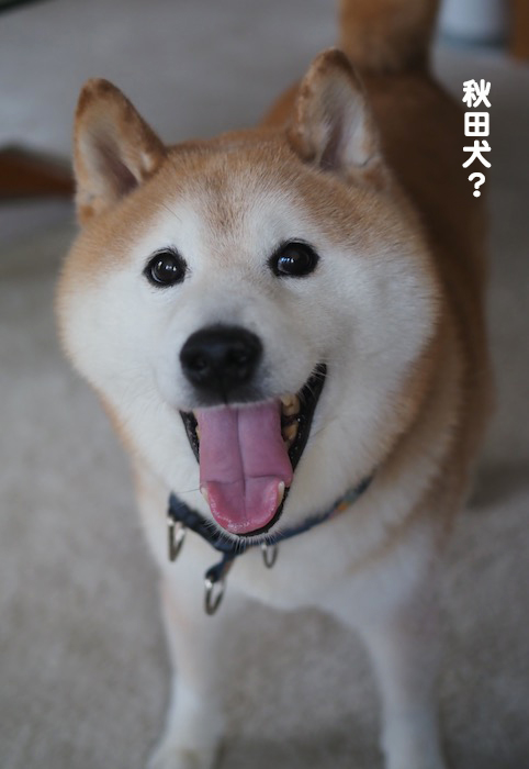 5日夕ブログ３