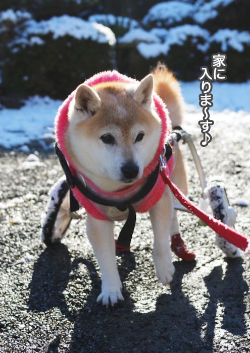 7日夜ブログ７