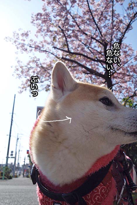 29日夜ブログ６
