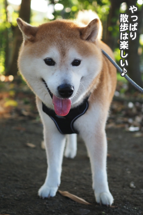 8日夜ブログ４
