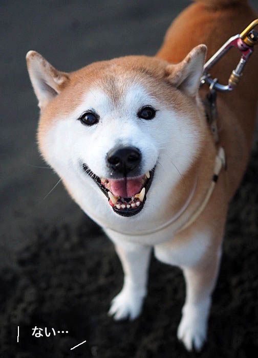 16日ブログ７