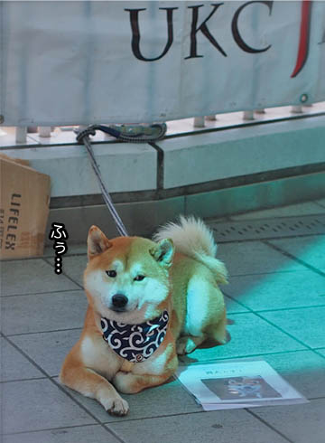 24日ブログ14.jpg