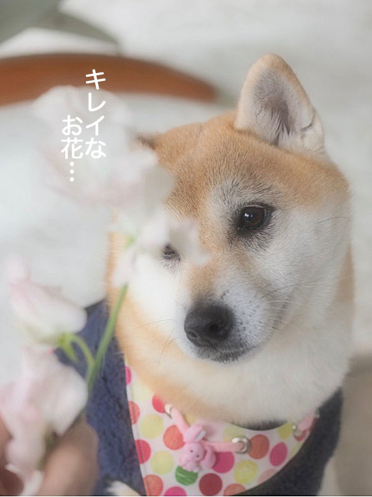 13日ブログ5