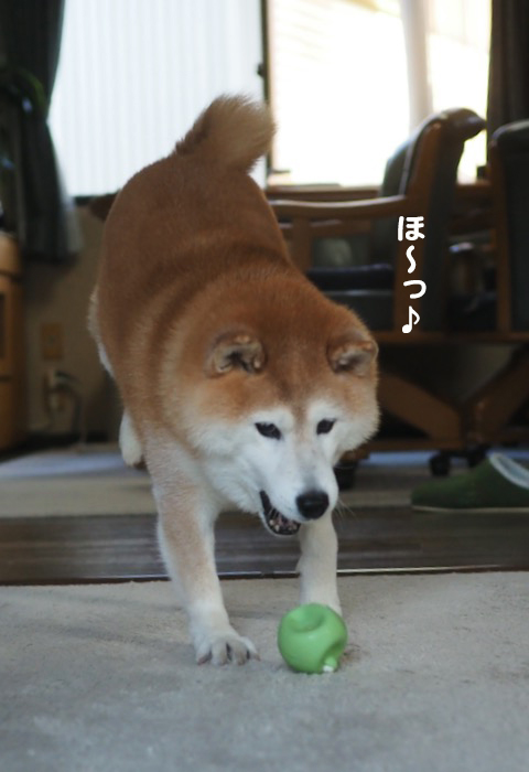 21日夕ブログ４