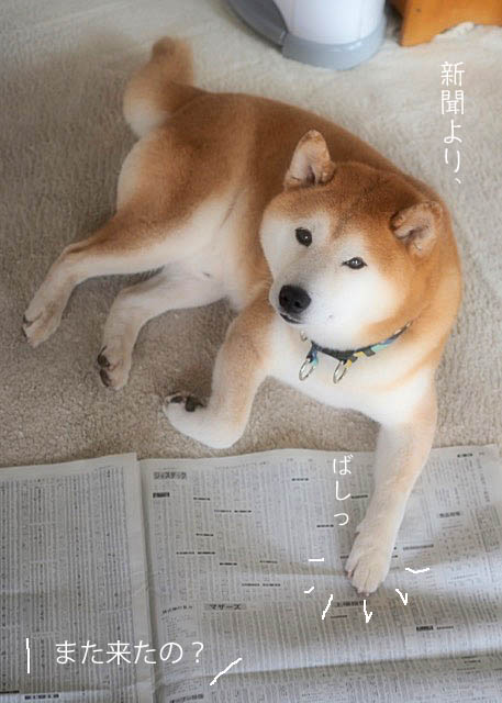 19日ブログ２