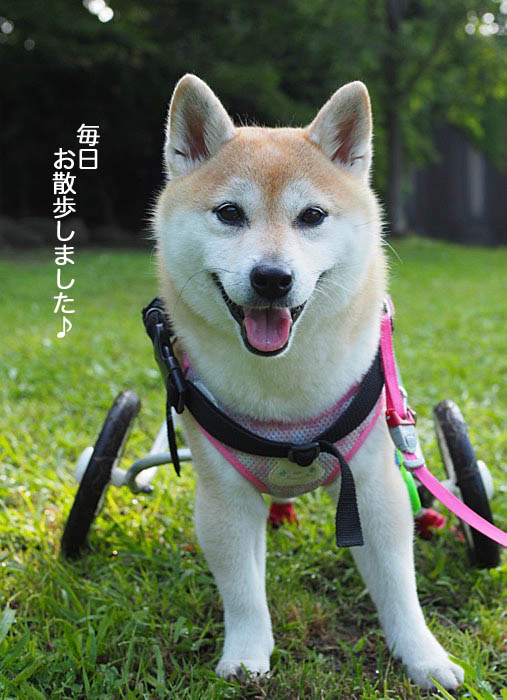 1日ブログ２
