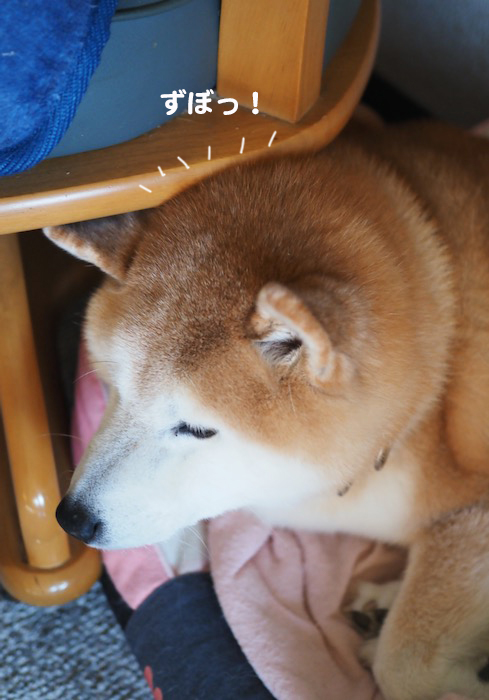 10日ブログ３