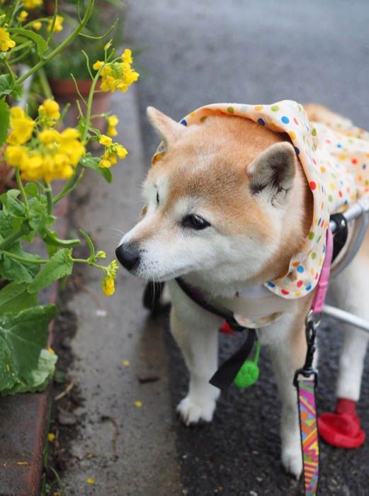 9日ブログ２