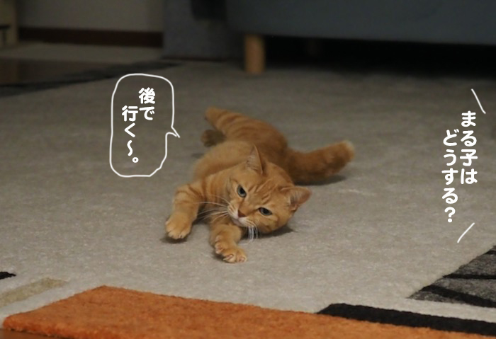 5日夜ブログ５