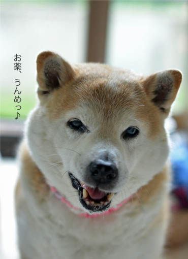 30日ブログ4.jpg