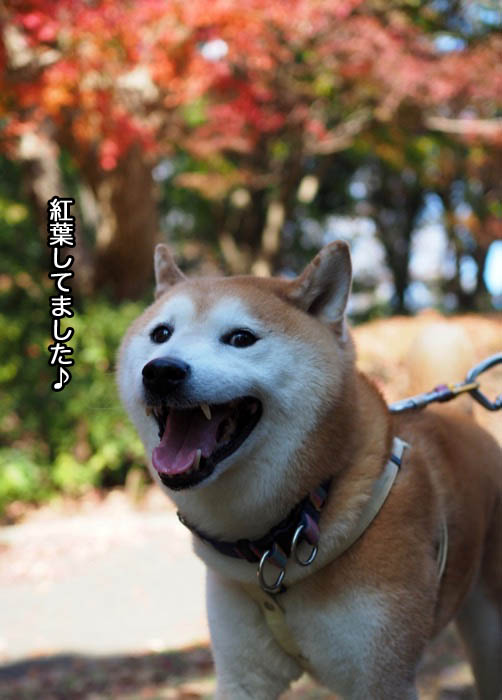 29日夜ブログ３