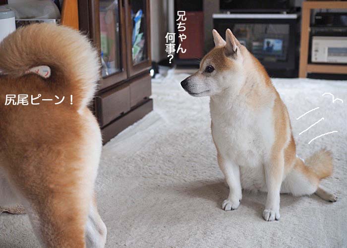 23日ブログ３
