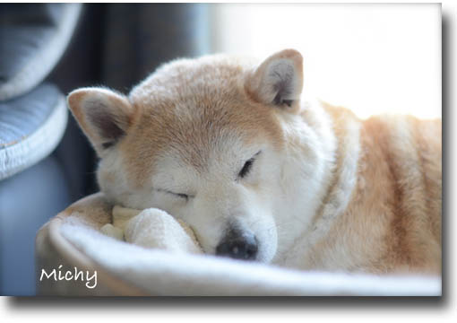 25日ブログ4.jpg