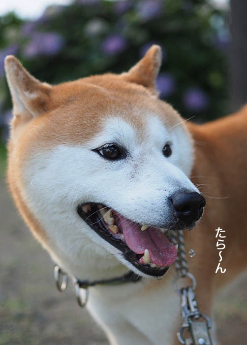 27日夜ブログ３