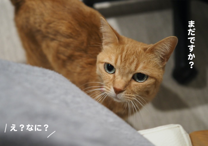 21日夕ブログ２