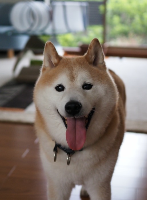 9日ブログ１