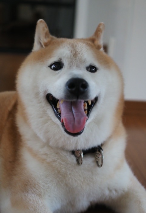 4日ブログ３