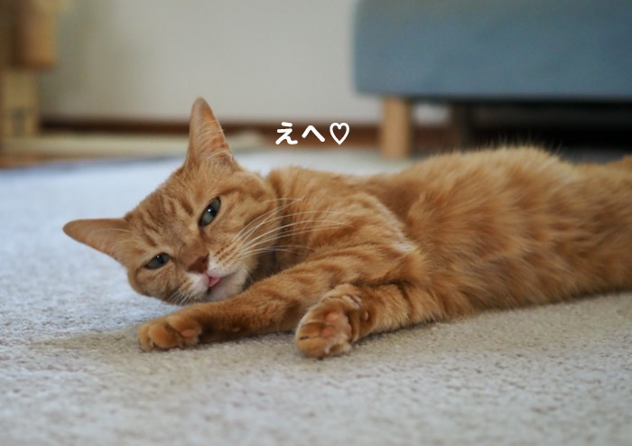 28日夕ブログ１１