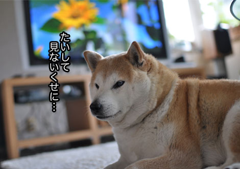 17日ブログ５.jpg