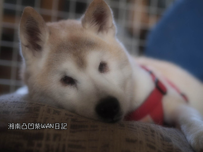 14日ブログ9